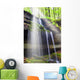Sunbeam over Waterfall Forest