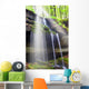 Sunbeam over Waterfall Forest