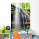 Sunbeam over Waterfall Forest