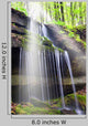 Sunbeam over Waterfall Forest