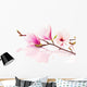 Pink spring magnolias Wall Decal