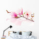 Pink spring magnolias Wall Decal