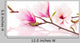 Pink spring magnolias Wall Decal