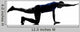 Man Exercising Workout