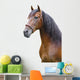 Portrait Andalusian Stallion