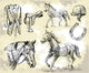 horse vector shapes Wall Mural