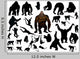 Set Different Monkeys Wall Decal