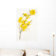 Botanical Yellow Forsythia Wall Decal