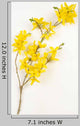 Botanical Yellow Forsythia Wall Decal
