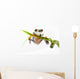 Frog Bamboo Wall Decal