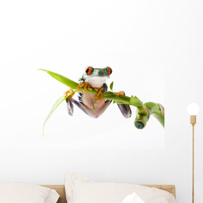 Frog Bamboo Wall Decal shown on a wall