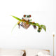 Frog Bamboo Wall Decal