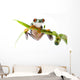 Frog Bamboo Wall Decal