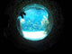 Acquario Wall Decal