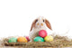 Funny Rabbit and Easter