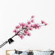 Pink Magnolia Branch Wall Decal