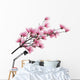 Pink Magnolia Branch Wall Decal