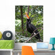 Rhinoceros Hornbill Wall Decal
