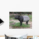 Malayan Tapir Wall Decal
