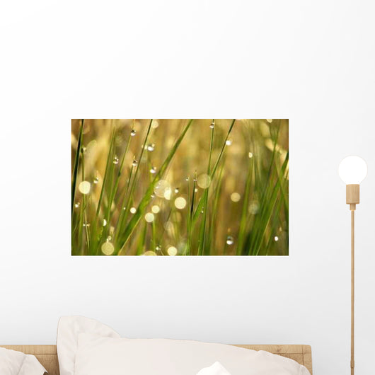 Dew Grass Wall Decal