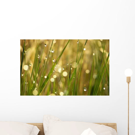 Dew Grass Wall Decal