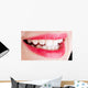 Beauty Mouth with Red Wall Mural