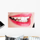 Beauty Mouth with Red Wall Mural
