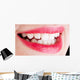 Beauty Mouth with Red Wall Mural