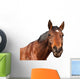 Horse Wall Decal