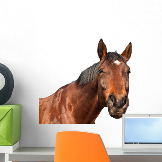 Horse Wall Decal