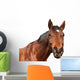 Horse Wall Decal