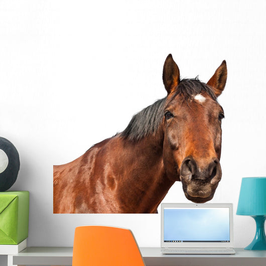 Horse Wall Decal