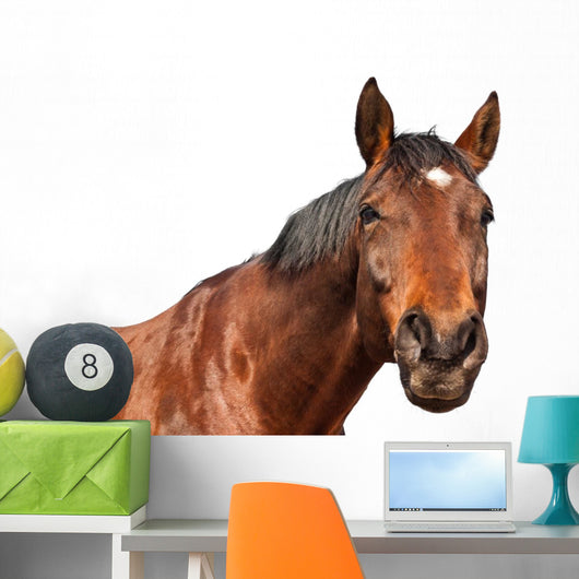 Horse Wall Decal