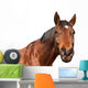 Horse Wall Decal