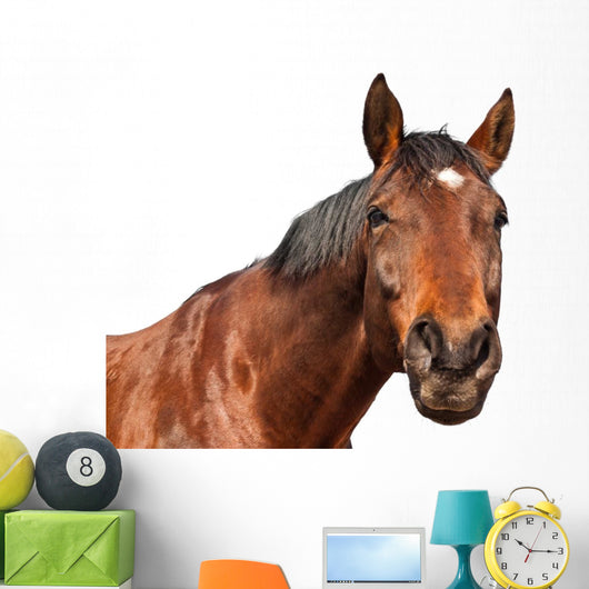 Horse Wall Decal