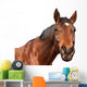 Horse Wall Decal