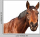 Horse Wall Decal