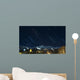 Breckenridge Star Trails Wall Mural