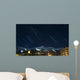 Breckenridge Star Trails Wall Mural