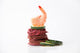 Red Shrimp and Zucchini Wall Mural