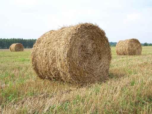 Bales Hay Wall Decal