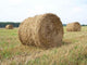 Bales Hay Wall Decal
