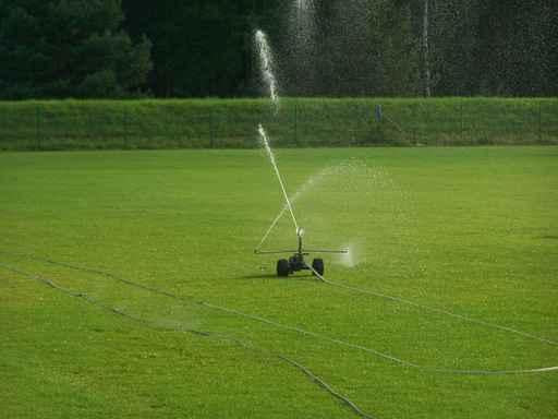 Sprinkler Wall Decal