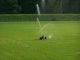 Sprinkler Wall Decal