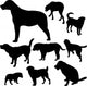 dogs - vector Wall Decal