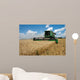 Combine Harvests Wheat Field