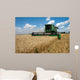 Combine Harvests Wheat Field