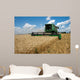 Combine Harvests Wheat Field
