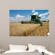 Combine Harvests Wheat Field