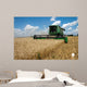 Combine Harvests Wheat Field